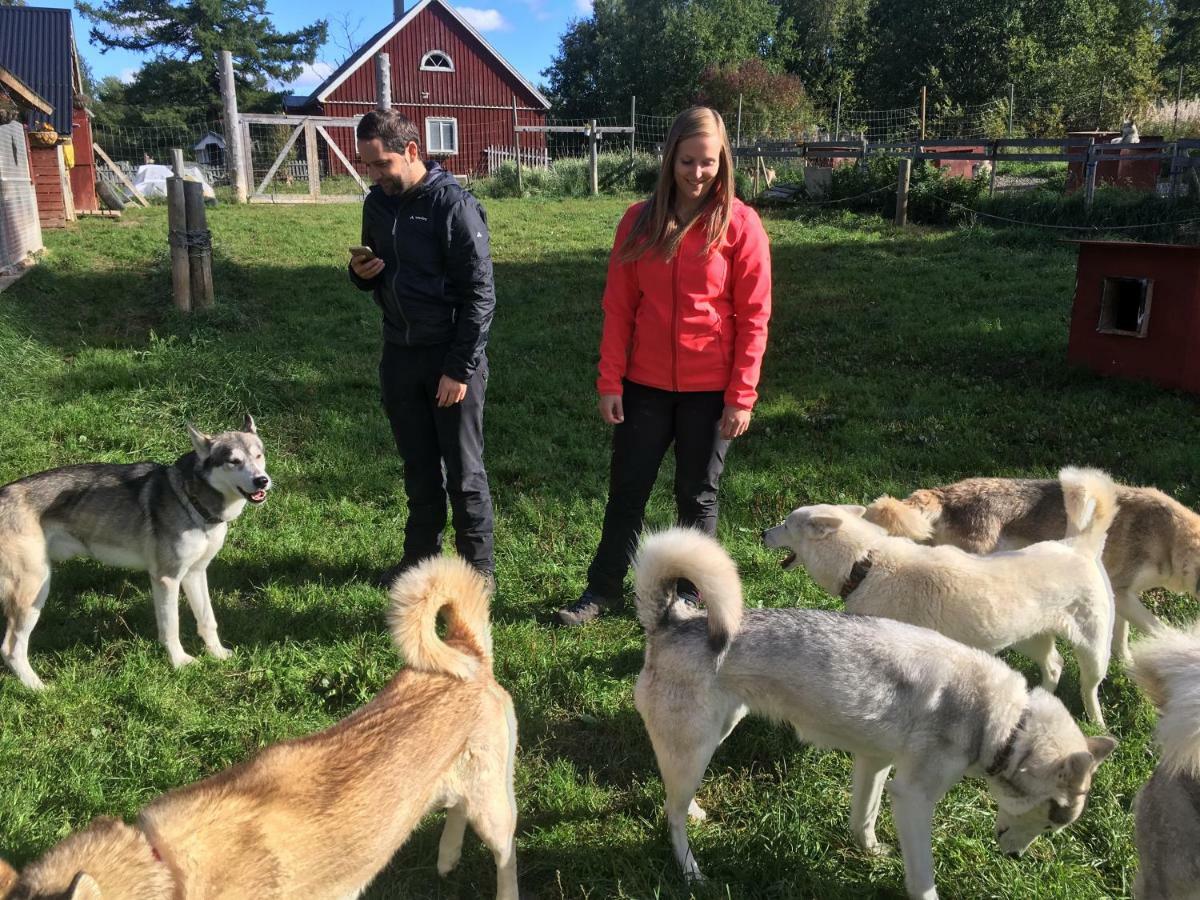 Cabin On Husky Farm Strömsund Eksteriør billede